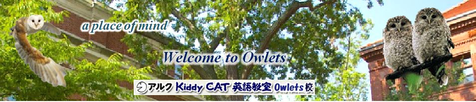 owlets header